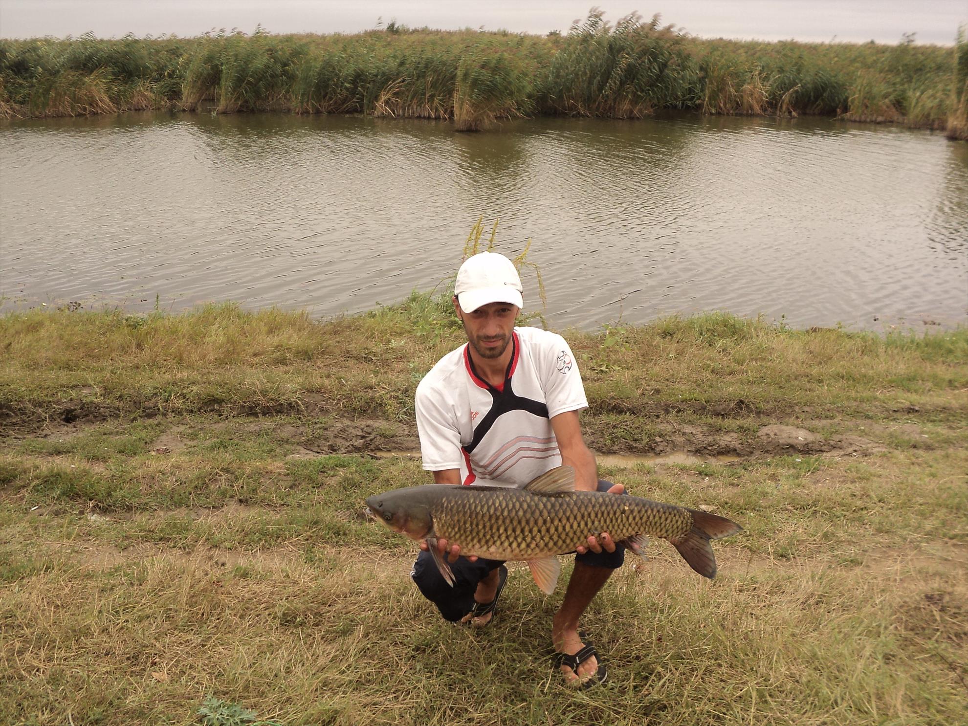 o mica parte din pesti de anul trecut - dsc01909.JPG